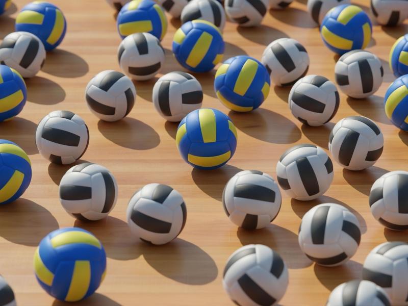 alto-angolo-di-composizione-con-pallavolo.jpg